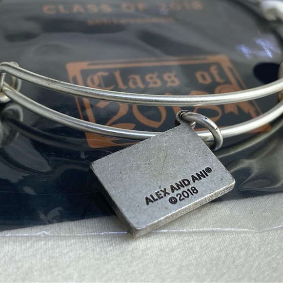 Alex and Ani Class of 2018 Two Tone EWB Rafaelian Silver Charm Bangle Bracelet - Picture 4 of 5